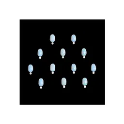 Comet Busters 12-Pcs Handmade Traditional Designer Reusable Bindi - White 2114-picture-20