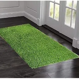 Comfy Home Plastic High Density Rectangular Artificial Grass Door Mat (3 Ft X 1.5 Ft), Green, 1 Pc-picture-31