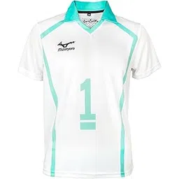 comicsense.xyz Unisex Haikyuu Anime T Shirts for Men and Women, Aoba Johsai 1 Printed Tshirt-picture-48