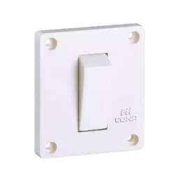 Cona GOLD 2 Way Switch 16 A Current Polycarbonate White, 1531-picture-33