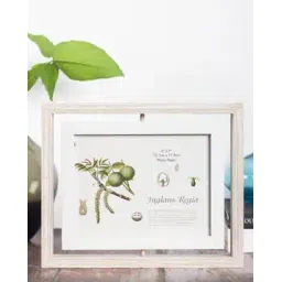 coral tree Rotatable Dual Photo Frame-picture-37