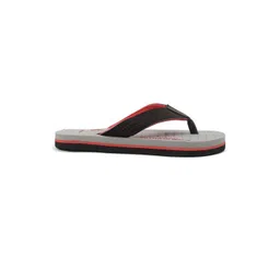Cozy Wear Men Grey Flip Flops-picture-32