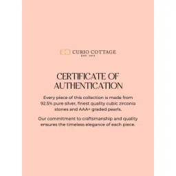 Curio Cottage 925 Silver Dual Layered Zircon Studded Bracelet image 5