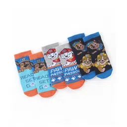 Cute Walk by Babyhug Cotton Blend Ankle Length Anti Bacterial Socks Paw Patrol Design Pack of 3 - Grey & Blue-image-20
