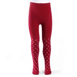 Cute Walk by Babyhug Cotton Knit Anti Bacterial Footed Tights with Polka Dot Design - Maroon-picture-18