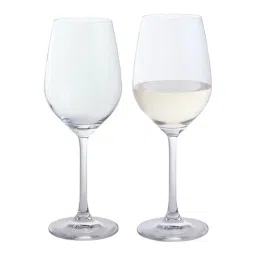 Dartington Transparent Wine Glass - Set of 2-picture-27