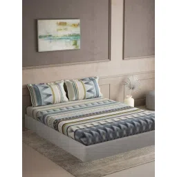 DDecor Blue Cotton 145TC Printed Bedsheet with 2 Pillow Cover-picture-42