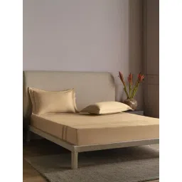 DDecor Regis Collection Yellow Cotton 300 TC Super king Bedsheet with 2 Pillow Covers-picture-23