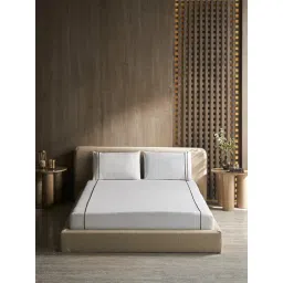 DDecor Solid Gold 180 TC Cotton King Bedsheet with 2 Pillow Covers-picture-48