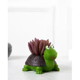 decor twist Cute Tortoise Succulent Planter For Home Garden Office Desktop-picture-27