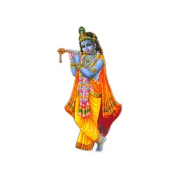 Decor Villa Multicolour Krishna Wall Sticker image 1