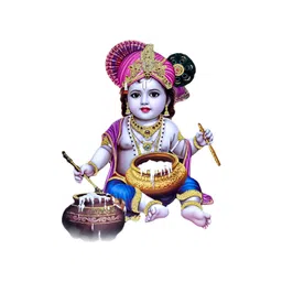 Decor Villa Multicolour Little krishna Wall Sticker-picture-29