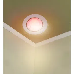 decorativeray White Iron Led Concelled Ligt In Pink Colour-picture-35