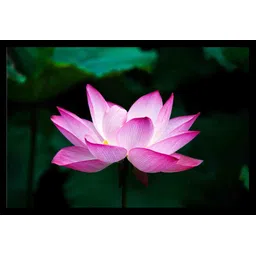 decorologyy Wood Wall Photo Frame-picture-24