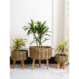DecorTwist 3 Pcs Brown Seagrass Planter with Stand-picture-11