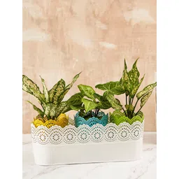 DecorTwist Textured Metal Planter-picture-22