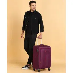 delsey paris Caracas Polyester Softcase Trolley Luggage with Spinner Wheels & TSA Lock - Large-picture-19