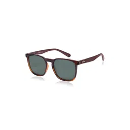 Dervin Unisex Green Lens & Brown Square Sunglasses with-picture-29