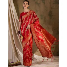 Desi Fusion Floral Woven Design Zari Saree-picture-12