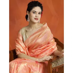 Desi Fusion Woven Design Zari Banarasi Saree-picture-34