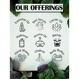 Deve Herbes Natural Therapeutic Grade Pure Soybean Oil with Glass Dropper - 100 ml image 3