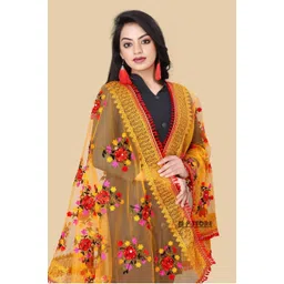 dharmee Net Embroidered Multicolor Women Dupatta-picture-19