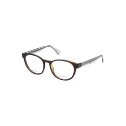 Diesel Brown Round Unisex Frames-picture-44