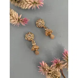 Digital Dress Room Classic Jhumkas Earrings-picture-23