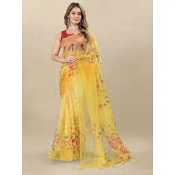 DIVASTRI Floral Organza Saree-picture-34