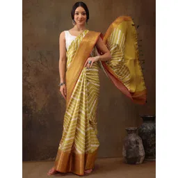 DIVASTRI Striped Zari Tissue Designer Banarasi Saree-picture-19