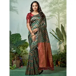 DIVASTRI Woven Design Zari Pure Silk Banarasi Saree-picture-18