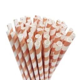Divatos 100 Pcs 6mm Biodegradable White Paper Straw Set, DI6MMSTRAW100X2BR (Pack of 2)-picture-16
