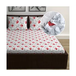 Divine Casa 144TC 100% Cotton Fitted Bedsheets Queen Size| Printed Double King Bed Size Elasticated Fitted Bedspread with 2 Pillow Covers-picture-20