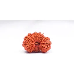 divine souvenirs ORIGINAL (NEPALI) 20 MUKHI RUDRAKSHA Wood Pendant-picture-11