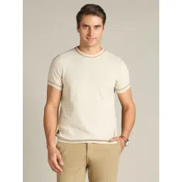 Dockers Light Beige Cotton Straight Fit Striped T-Shirt-picture-44