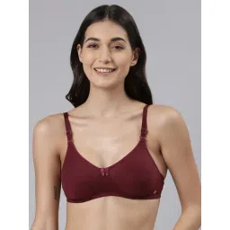 Dollar Missy Maroon Cotton Padded T-Shirt Bra-picture-33