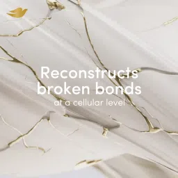 Dove Peptide Bond Strength Bi-Phasic Oil+Serum image 4