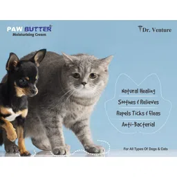 dr venture Paw Butter Moisturising Cream for Pets Like Dogs and Cats (100Gm) Pet Spa Kit image 4