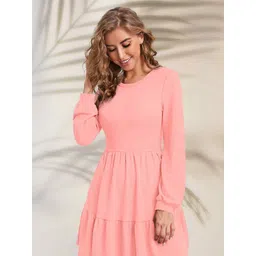 DressBerry WomenFit & Flare Dress-picture-31