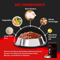 drools Focus Starter Super Premium Chicken 4 kg Dry New Born Dog Food image 5