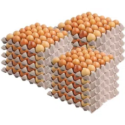 dsom Egg holder Egg Holder-picture-41