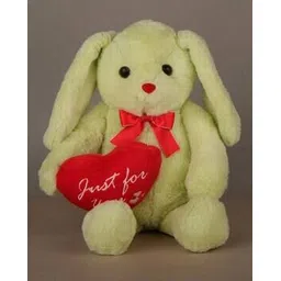 dukiekooky Teddy Bear Soft Toy-picture-20