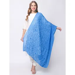 Dupatta Bazaar Blue Embroidered Dupatta-picture-33