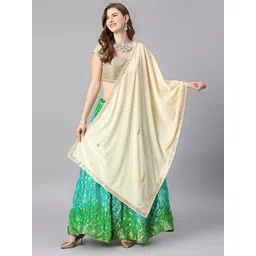 Dupatta Bazaar Embroidered Velvet Dupatta with Gotta Patti-picture-32