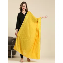 Dupatta Bazaar Striped Dupatta with Sequinned-picture-43