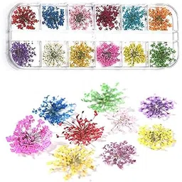 DX NAIL ART 12 Patterns 3D Dry Flowers Stickers Real Dried Flower Nail Art Decoration Tips DIY Manicure Tools, Plastic-picture-17