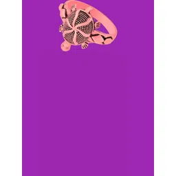 Dynamic Retail Global Tortoise Turtle Kachua Meru Ring for Men Women Boys Girl Vastu Fengshui TZR227 Brass Gold Plated Ring ()-picture-31