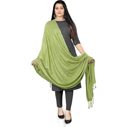 ebadat Cotton Blend Embellished Light Green Women Dupatta-picture-27