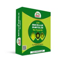 EBS 1kg Bacillus Subtilis Bio Fungicide Powder for Plants &a; Home Garden (Pack of 10)-picture-31