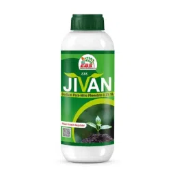 EBS Jivan 250ml Sodium Para Nitro Phenolate 0.3% SL Plant Growth Promoter for Food Crops, Cash Crops, Vegetables, Fruits &a; Flowers (Pack of 4)-picture-47